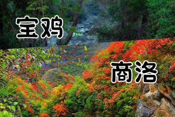 重温1986年8月的历史瞬间：那场激荡人心的命运交响曲