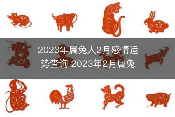 1963年属兔人命运解析：兔年生人的性格与运势