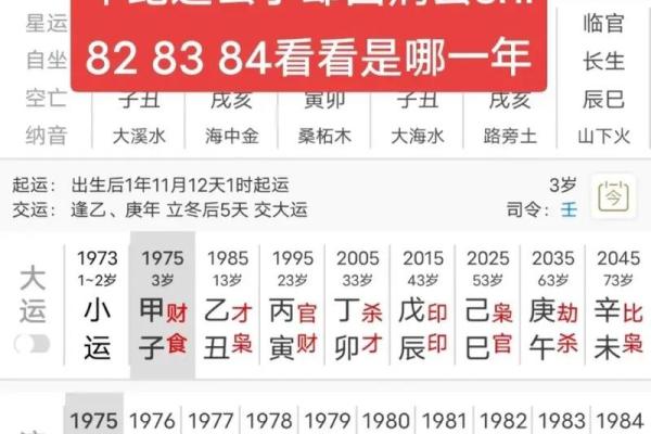 如何选择测命盘软件？揭秘最准命盘测算工具！