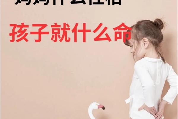 命形于命：探索命运与自我实现的奥秘