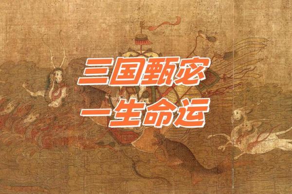 1336年属狗人的命运解析与人生智慧