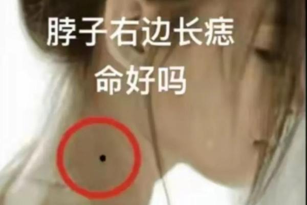 命形于命：探索命运与自我实现的奥秘