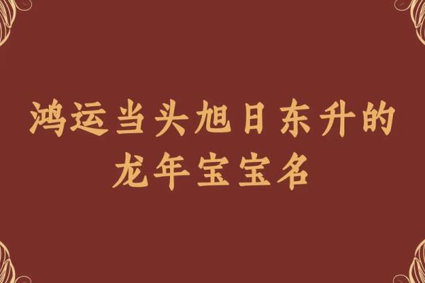 25年龙宝宝的命运解析：揭示命理奥秘与生活智慧