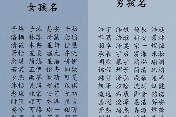25年龙宝宝的命运解析：揭示命理奥秘与生活智慧