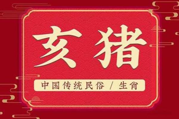 1883年属猪的命运解析：财富与人际的双重谐音之旅