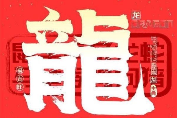 属龙人的命运解析：性格特点与未来运势探究