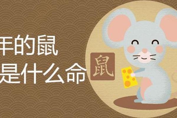 1960年出生的人：生肖鼠与五行命理的奇妙结合
