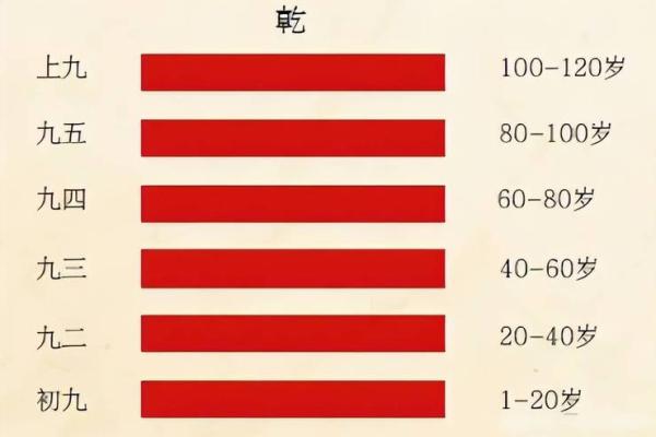 干命与乾命的探索：命理学中的独特视角