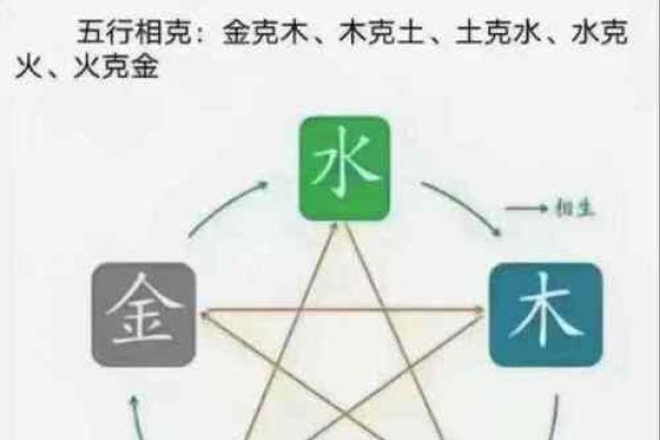 水命与木命的完美结合：探讨财运与命理的和谐关系