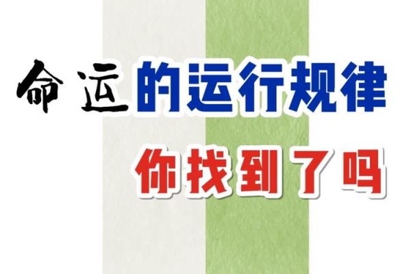命运从天而降，如何掌控人生的方向与选择