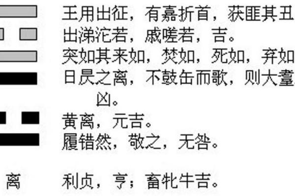 解读：乾命与金命的深层联系与区别