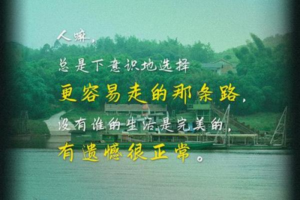 2014金马奖背后的命运哲学：揭示电影与人生的微妙关系