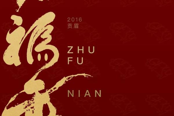 猪年出生的生肖命运分析，探讨你的未来机遇与挑战