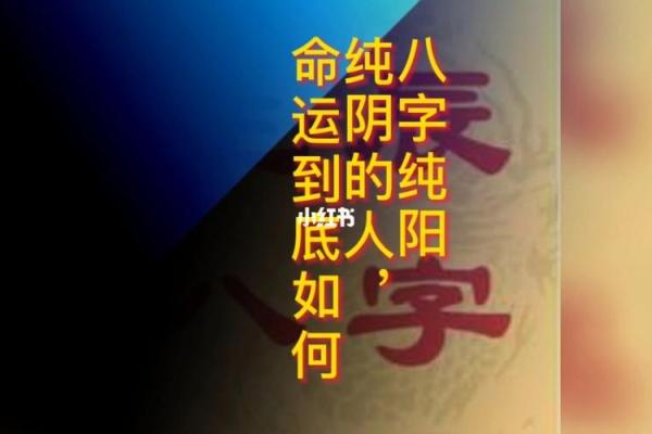 探寻命格的奥秘：什么样的命格才是最好的命格？