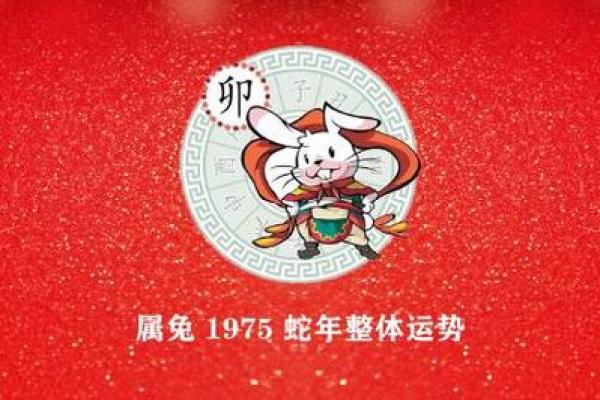 1975年出生的人属兔，命运与性格的深度解析