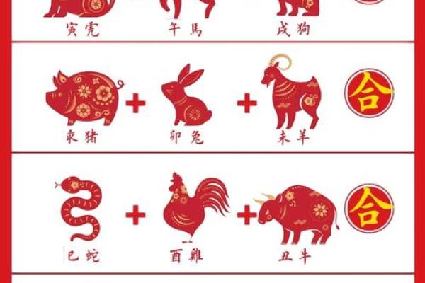 2012本命年是什么命？探秘你的生肖运势与人生走向！