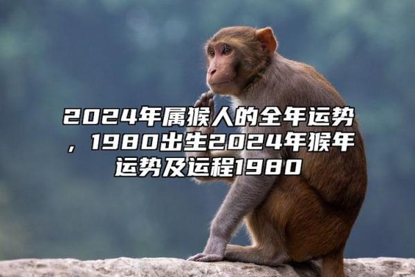 2019年属猴人的命运解析：如何把握机会与挑战？