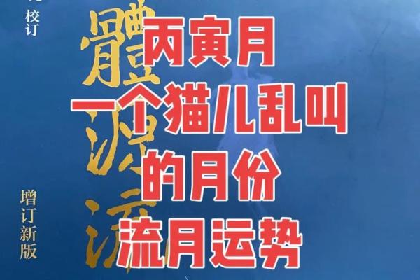 1955年出生的人命理解析：人生的选择与机遇之旅