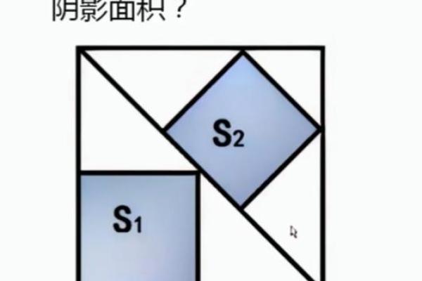1981年鸡宝宝的命运解析，揭示其性格与人生轨迹的奥秘