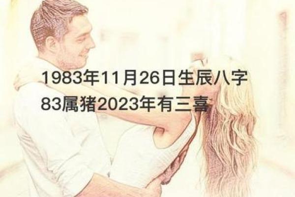 属猪人2023年运势分析：探索51岁命理的秘密与智慧