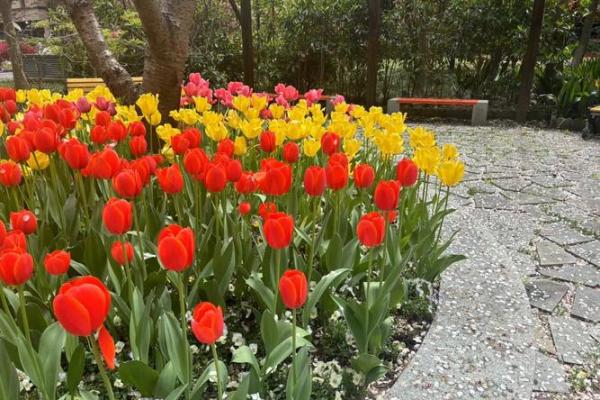 2019年4月：如何在四月的春风中找寻自己的命运与机会