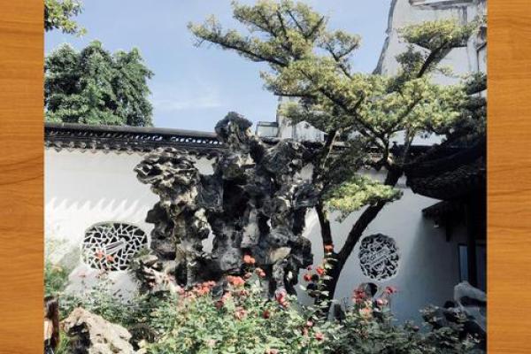 水命与土命、木命的和谐交融