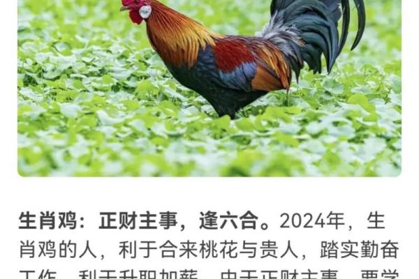 探索鸡年命理：1968年生肖鸡的性格与命运解析