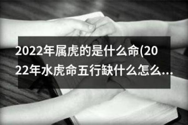 2022年属什么命？解读属相与命运的深刻联系