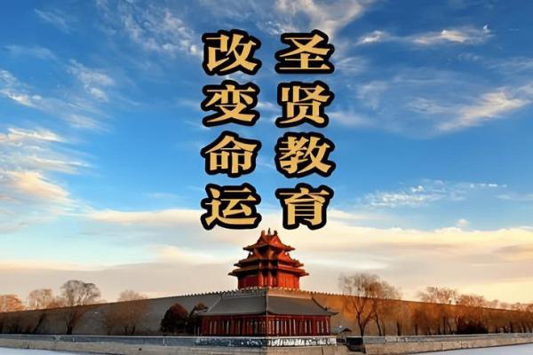 飞凤之命：探寻命格中的潜力与挑战，如何运用智慧改变命运
