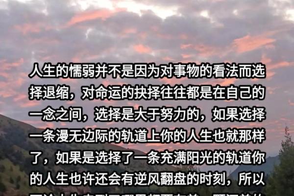 2011年命运解析：揭示人生的潜在趋势与机会