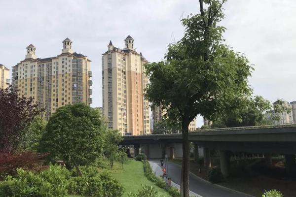 94属狗人的命运解析：从性格到运势，全面剖析！