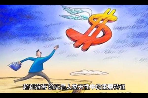 2016年属鸡的命运解析：探寻你的性格与吉运之路