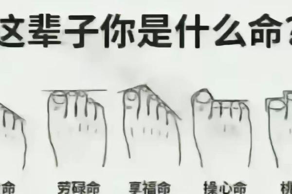 命由己造，命由天定：从成语谈人生哲理的思考