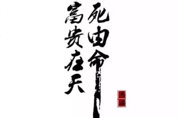 命由己造，命由天定：从成语谈人生哲理的思考