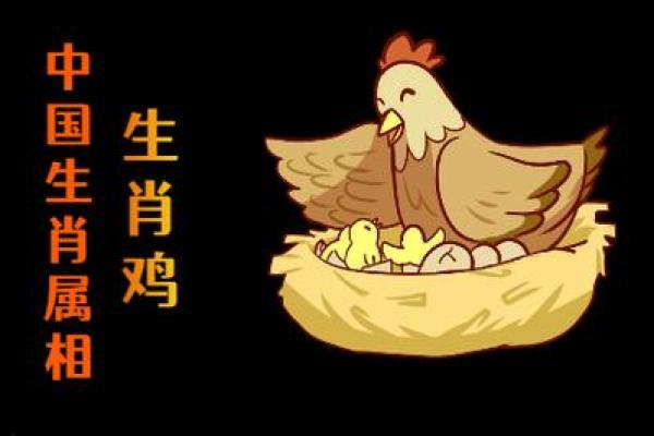 1992年属鸡的命理分析与人生智慧探讨