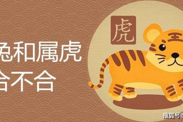 1956年属兔的命理解读：命运与性格的深度探索