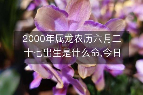 2000年属龙女命运解析：智慧与力量的结合