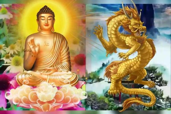 2000年属龙女命运解析：智慧与力量的结合