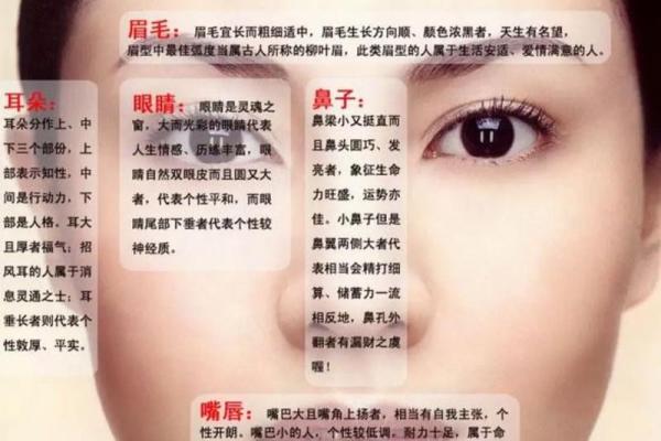 水命与木命：缘何难以相融的深层解析