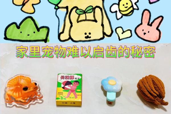 没有女儿的命运：家庭、社会与女性的多重思考