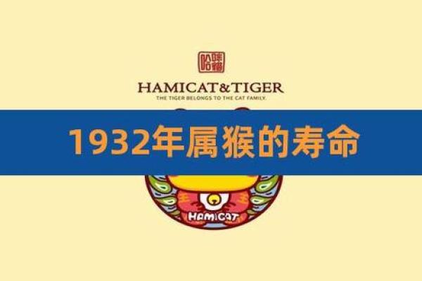 1980年猴年出生的人命运解析：智慧与灵活的完美结合