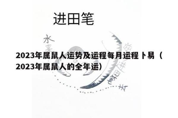 命里有寅卯空：探索生肖与命理的深奥之道