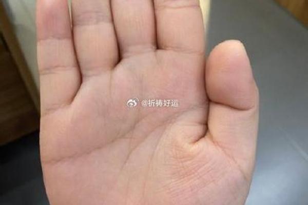 探寻19900827的命运密码：揭示生命的真实意义与内在潜能