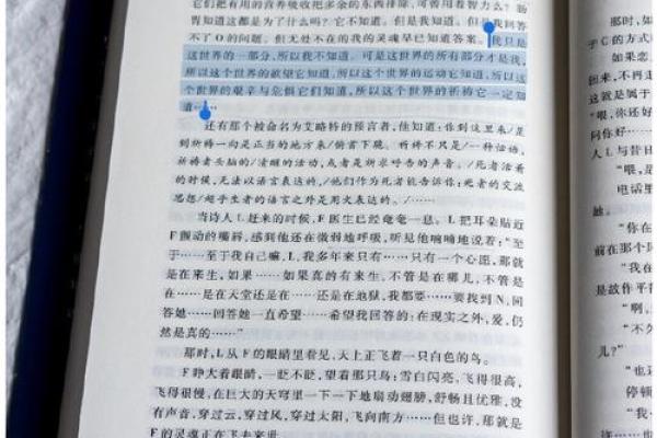 91年和2019年的命运交汇：人生中的选择与转变