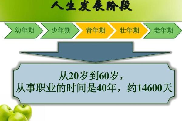 华盖命运：适合的职业选择与人生发展探讨