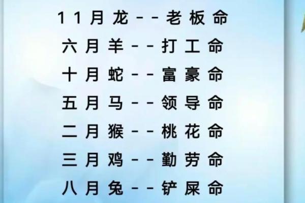 缘也是命，命也是缘——探寻歌曲的灵魂与情感