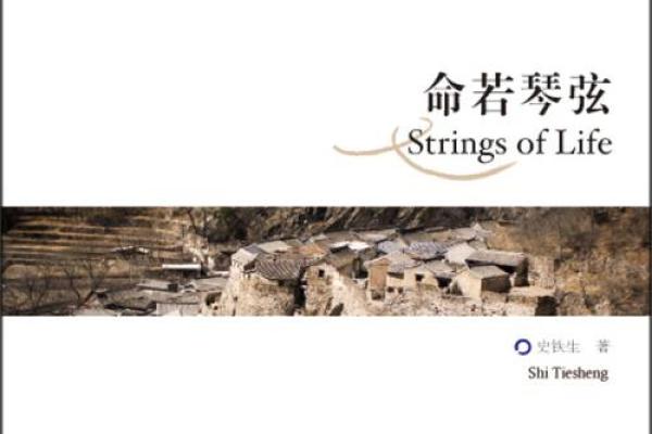 《命若琴弦：寻缘之旅的浪漫与哀愁》