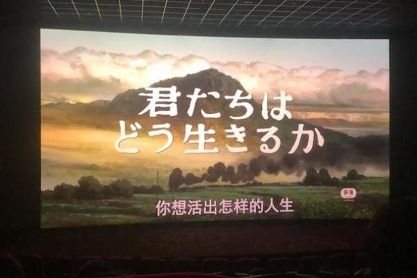 1984年出生的男人：命运与人生的探索之旅