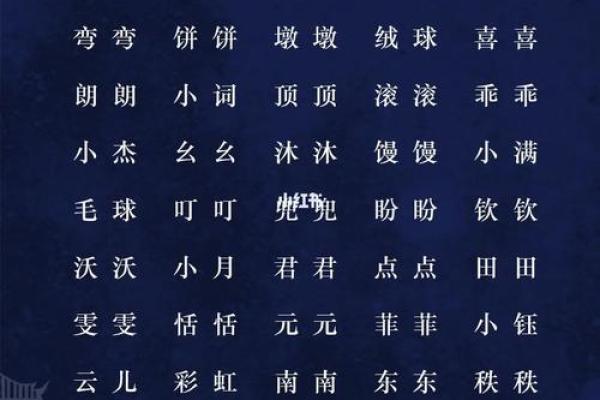 2019年出生宝宝命理解析：揭示命运与未来的奥秘