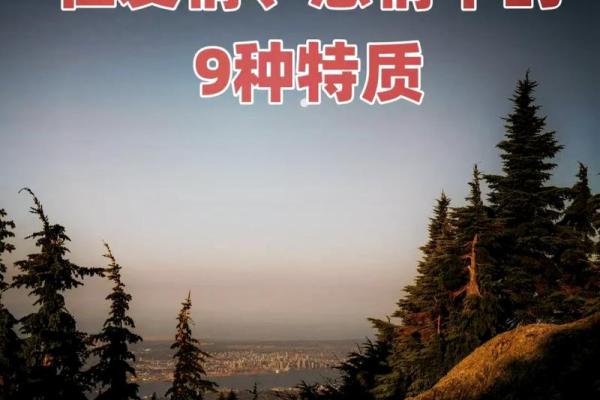 劫财入命：揭秘女性命格的曲折与辉煌